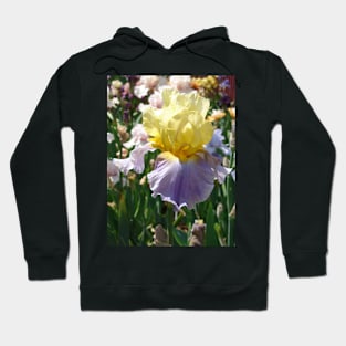 Purple and Yellow Bearded Iris Flower Hoodie